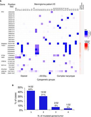 Whole-Exome Sequencing Reveals Recurrent but Heterogeneous Mutational Profiles in Sporadic WHO Grade 1 Meningiomas